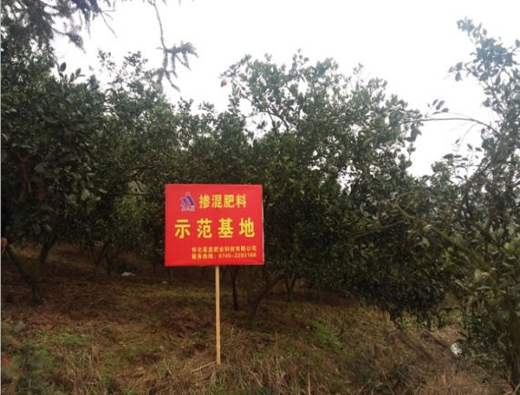 懷化星藍(lán)肥業(yè)科技有限公司,摻混肥,硝鈣基高氮肥,硝硫基高氮肥,生物酶活化磷,活化鈣鎂磷 懷化星藍(lán)肥業(yè)科技有限公司,摻混肥,硝鈣基高氮肥,硝硫基高氮肥,生物酶活化磷,活化鈣鎂磷